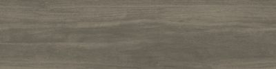 A007-005-titanium