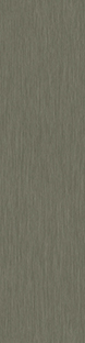 A016-19-000 Eucalyptus