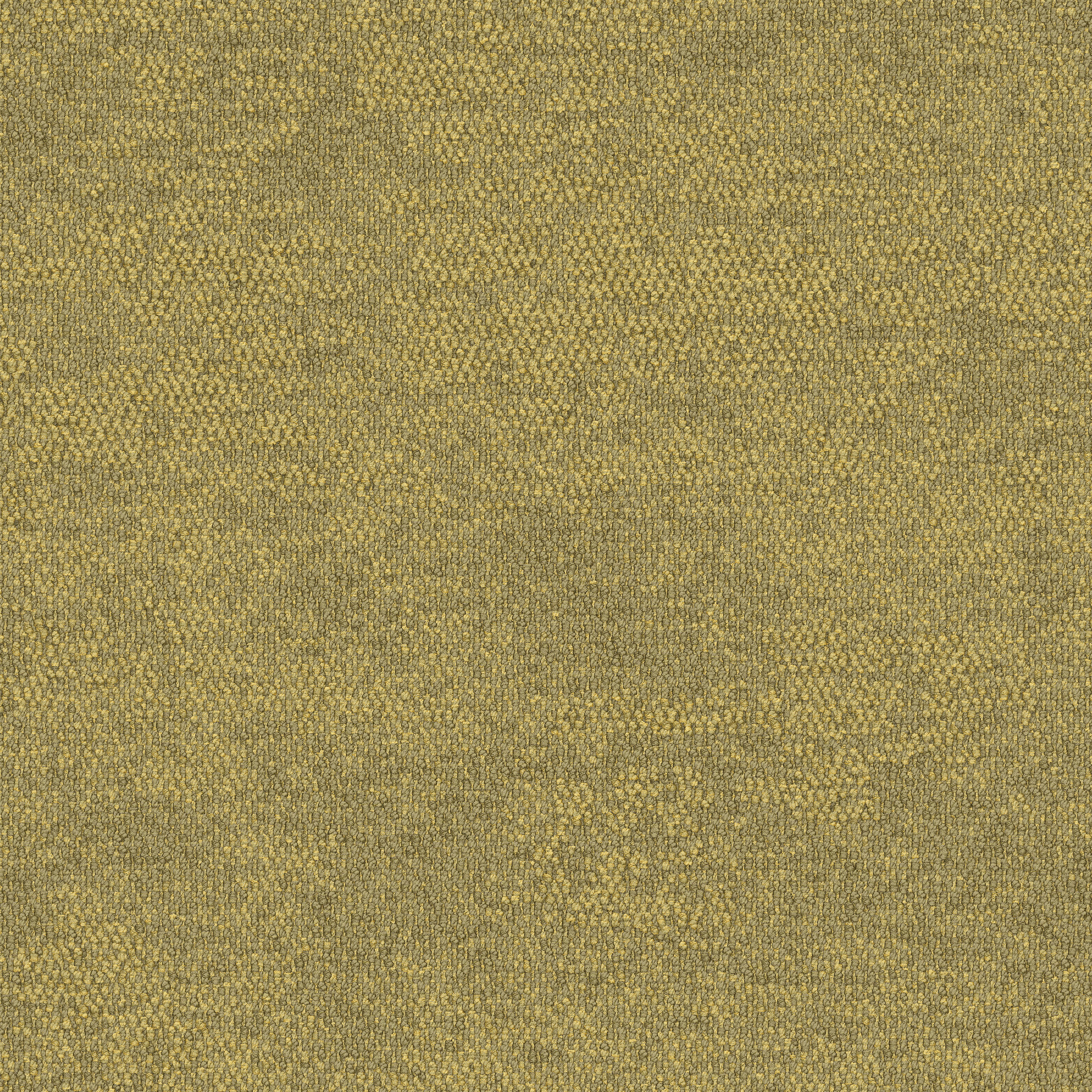 2525-013-000 Spinifex Grass